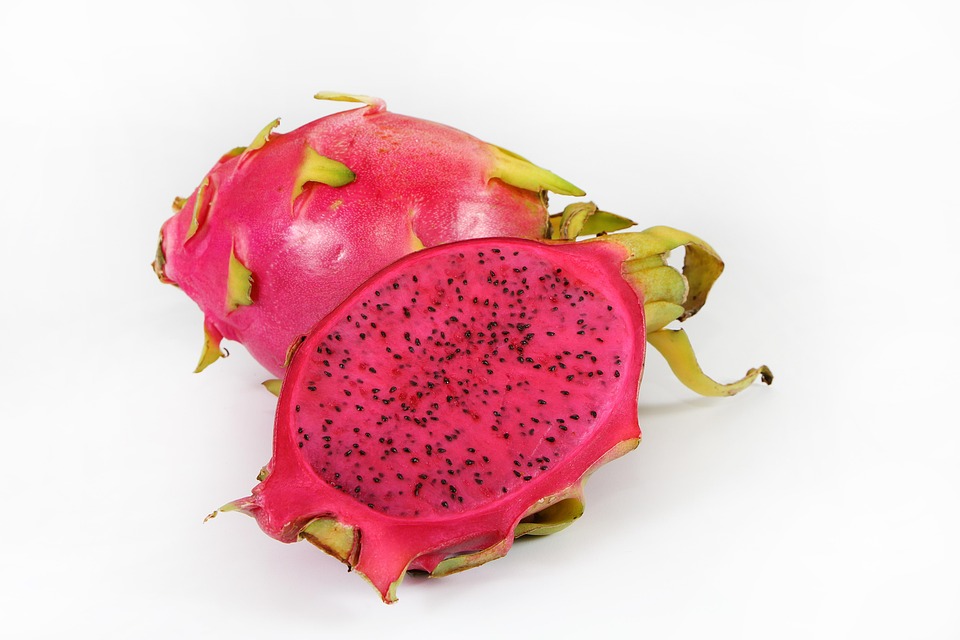 buah naga